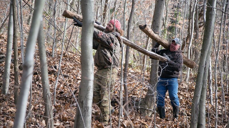 Willy and Wild Bill hauling logs. – Bild: Jeremy Brigden
