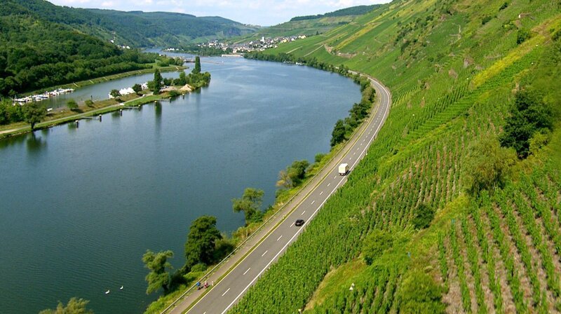 Weinhänge an der Mosel – Bild: SWR/​VIDICOM/​Bardehle