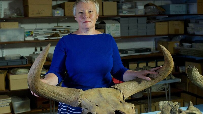 Professorin Jacqui Mulville mit dem Schädel eines Auerochsen. – Bild: Foto: RTL / Quickfire Media Professorin Jacqui Mulville mit dem Schädel eines Auerochsen. – Bild: Foto: RTL / Quickfire Media