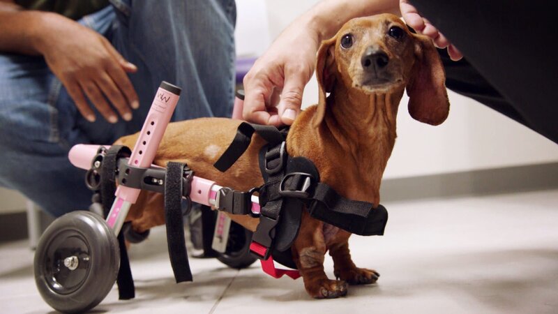 . – Bild: Warner Bros. Discovery