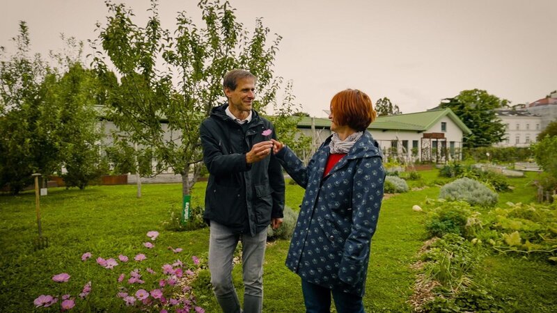 Die Cityfarm ist ein urbaner Lebens- und Lerngarten mitten in Wien. Unter der Leitung von Angelika und Wolfgang Palme wird hier auf mehr als 4.000 m² verschiedenstes Gemüse angebaut. In Gartenworkshops und durch spannende Führungen soll Kindern, Jugendlichen und allen Interessierten biologisches Gärtnern nähergebracht werden. – Bild: ORF/​Talk TV