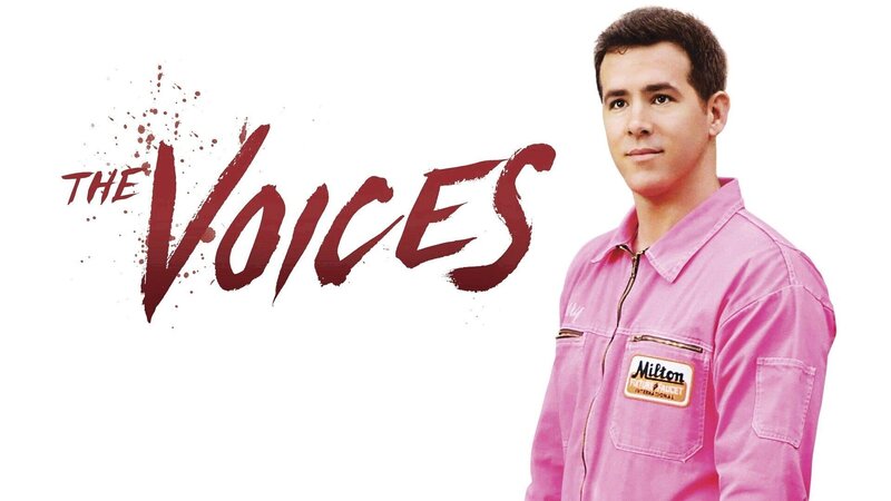 The Voices – Bild: Star TV