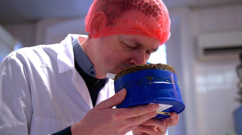 Sternekoch Christoph Rüffer: seit 20 Jahren Garant für höchste Gourmetfreuden im Restaurant. – Bild: NDR