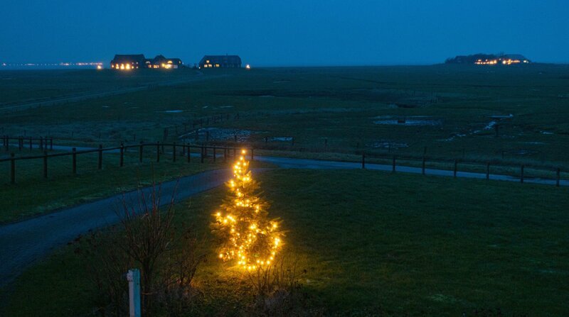 Heiligabend auf der Hallig Langeneß. Hier wird es schon um vier Uhr nachmittags dunkel. Einzige Lichtquelle: Ein Tannenbaum auf der Warf. – Bild: BR/​NDR/​Manfred Uhlig