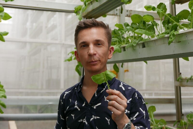 Wie werden wir uns in Zukunft ernähren? Welche Möglichkeiten gibt es in Megacitys, an frische Lebensmittel zu kommen? „PUR+“-Moderator Eric Mayer sieht sich in Singapur die weltweit größte „Vertical Farm“ an. – Bild: ZDF/​Sandra Palm