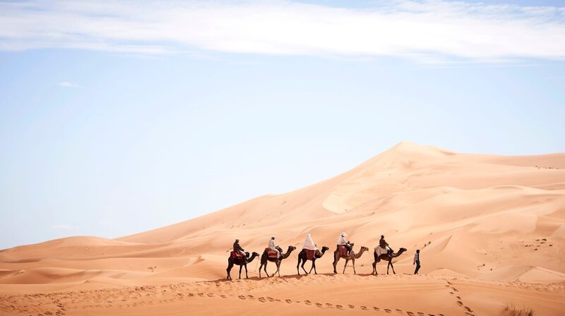 Kamele in der Sahara – Bild: WDR/Every Cloud Productions/all3media international Kamele in der Sahara – Bild: WDR/Every Cloud Productions/all3media international