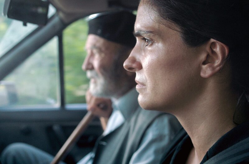 Hive – Bild: Alexander Bloom