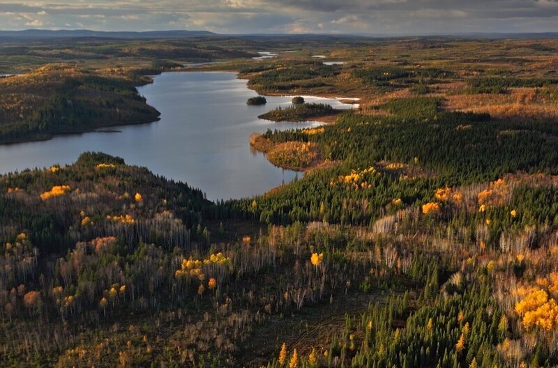 Das boreale Québec ist geprägt von ausgedehnten Nadelwäldern, klaren Seen und einer reichen Tierwelt, darunter Karibus und Elche. – Bild: Gedeon Programmes