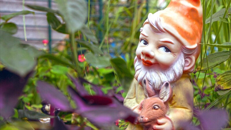 Er darf eigentlich in keinem Schrebergarten fehlen: Der Gartenzwerg. – Bild: ZDF und Fabian Uhlmann