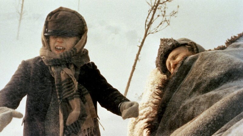 Ein heftiger Schneesturm macht Michel (Jan Ohlsson, l.) schwer zu schaffen, als er den kranken Knecht Alfred (Björn Gustafson) zu einem Arzt fährt. – Bild: Studio 100 Media Ein heftiger Schneesturm macht Michel (Jan Ohlsson, l.) schwer zu schaffen, als er den kranken Knecht Alfred (Björn Gustafson) zu einem Arzt fährt. – Bild: Studio 100 Media