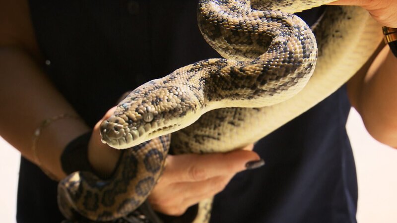 . – Bild: Warner Bros. Discovery