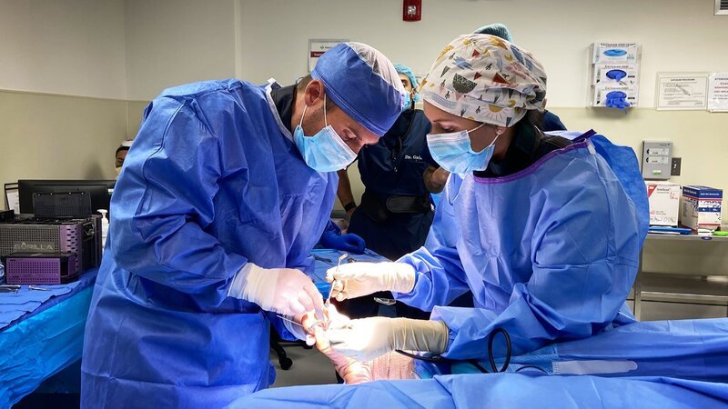 Dr. Brad performing surgery with crew – Bild: Warner Bros. Discovery