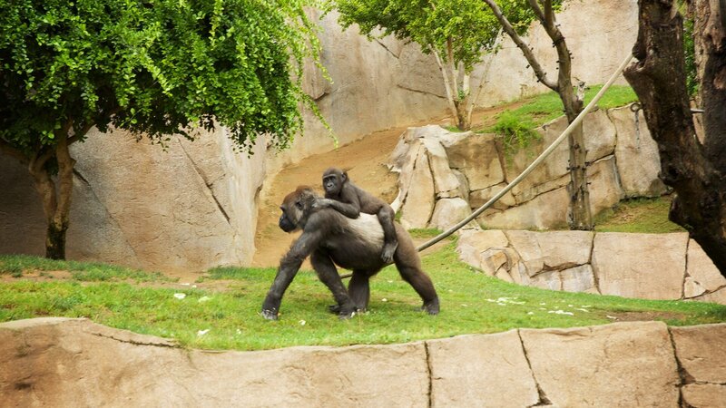 . – Bild: Warner Bros. Discovery