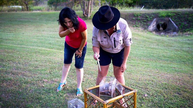 . – Bild: Warner Bros. Discovery