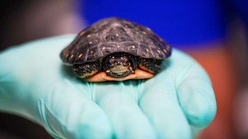 . – Bild: Warner Bros. Discovery