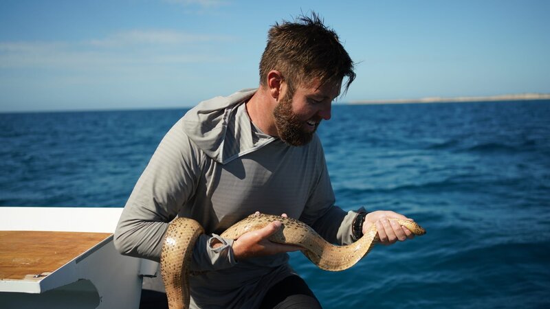 Forrest hält eine olivgrüne Seeschlange – Bild: 2024 Warner Bros. Discovery, Inc. or its subsidiaries and affiliates. All rights reserved.