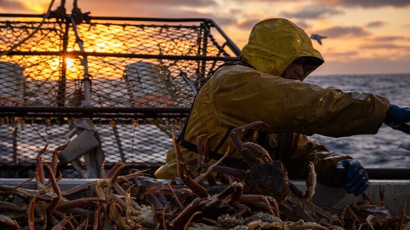 Wizard crew sorting crab at the table, nice sunset in the background – Bild: 2024 Warner Bros. Discovery, Inc. or its subsidiaries and affiliates. All rights reserved.
