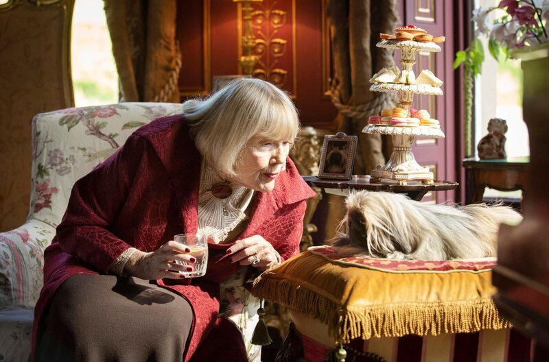 Mrs Pumphrey (Diana Rigg) macht sich Sorgen um ihren Hund Tricki-Woo. Tierarzt James Herriot hat Tricki-Woo strengste Diät verordnet. – Bild: WDR/​Playground Television UK Ltd & all3media international