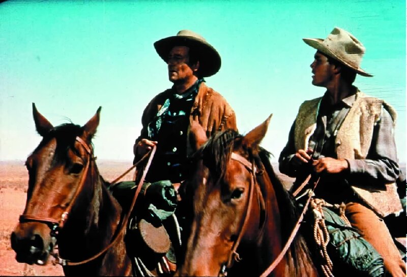 Der schwarze Falke – Bild: ServusTV