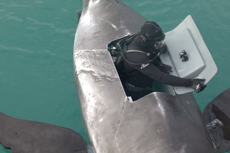 Austin in voller SCUBA-Ausrüstung schließt EARL-Luke – Bild: 2023 Warner Bros. Discovery, Inc. or its subsidiaries and affiliates. All rights reserved.