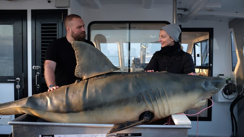 Michelle und Fish bereiten den Haifischköder mit Zahnwachs für das Wasser vor – Bild: Warner Bros. Discovery, Inc.