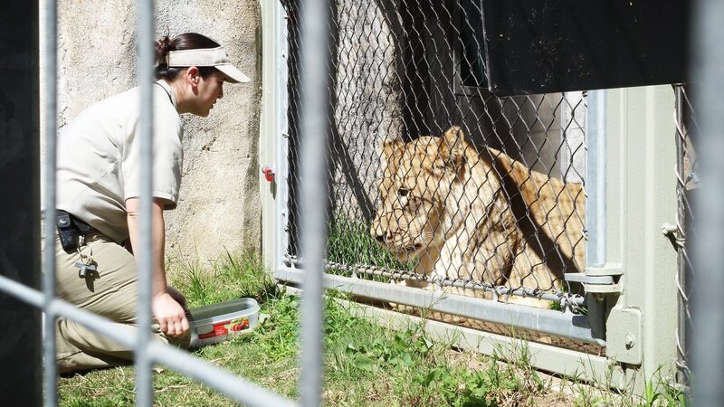 . – Bild: Warner Bros. Discovery