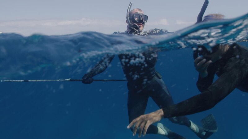 Tristan Guttridge beim Freitauchen im Raubfischkanal. – Bild: Warner Bros. Discovery