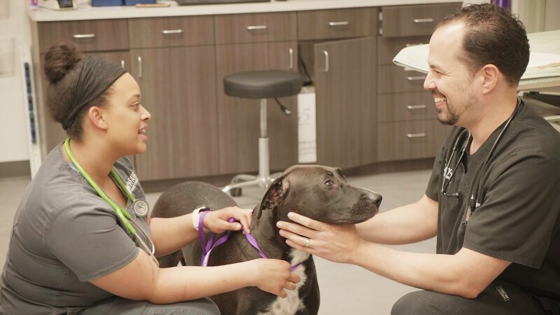 . – Bild: Warner Bros. Discovery