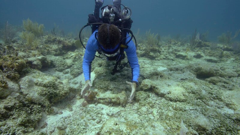 Marine archaeologist Corey Malcom finds the Spanish style „bar shot“, a type of cannon ball believed to be from the slave ship Guerrero in Florida, USA. – Bild: (C)HISTORY /​ Associated Producers Ltd. and Cornelia Street Productions