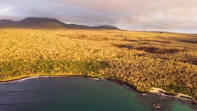 Reise durch Amerika mit David Yetman Galápagosinseln Landschaft Galápagosinseln – Bild: SRF/​ARTE
