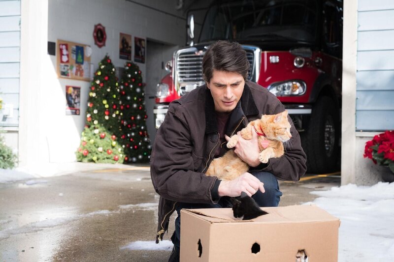 Zachary (Brandon Routh) muss an Weihnachten ein neues Zuhause für einen Wurf kleiner Kätzchen finden. – Bild: RTL /​ 2021 NINE KITTENS FILMS INC.