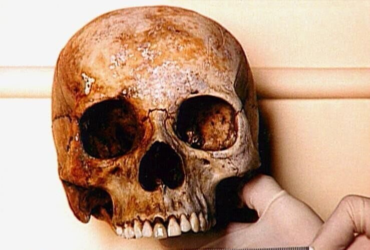 Untersuchungen des Schädels ergeben, dass es sich um die seit 1994 vermisste Emelita Reeves handelt. – Bild: RTL