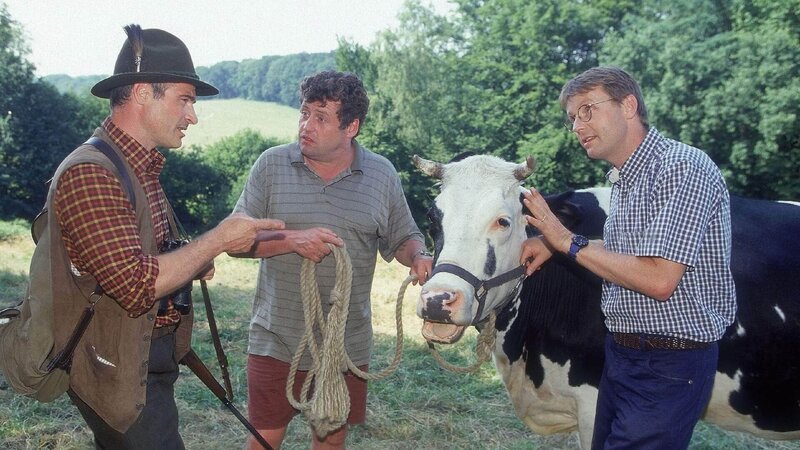 Benno (Willi Thomczyck, M.) und Lothar (René Heinersdorff, r.) versuchen dem Förster (Georg Panczak, l.) zu erklären, dass sie die Kuh Sybille nicht von der Weide gestohlen, sondern beim Pokern gewonnen haben. – Bild: MG RTL D