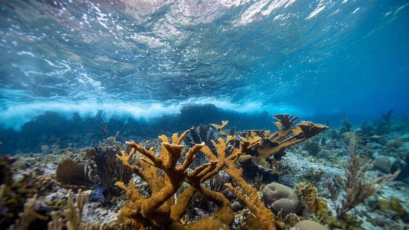 Bild: SECORE/​Paul A. Selvaggio