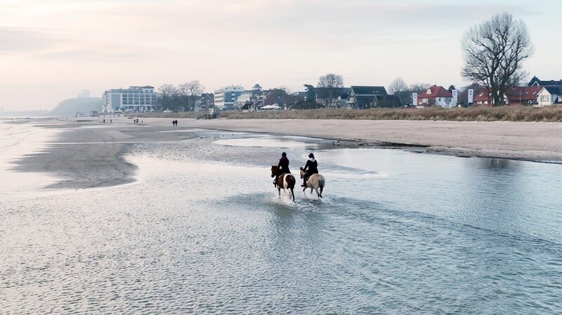 Strandreiten am Ostseestrand in Lübecker Bucht bei Scharbeutz – Bild: NDR/​Sven Rieken