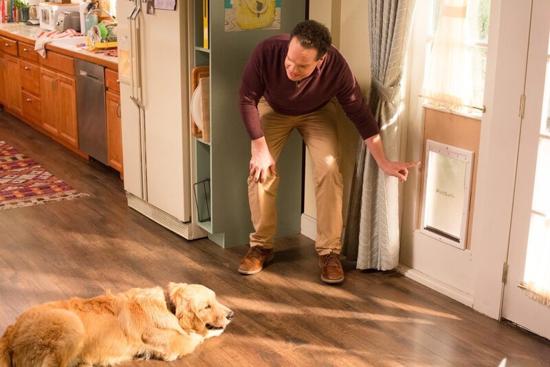 Diedrich Bader (Greg Otto). – Bild: ORF/​Disney/​ABC/​Michael Ansell