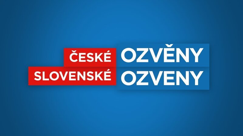 Bild: ORF Bild: ORF