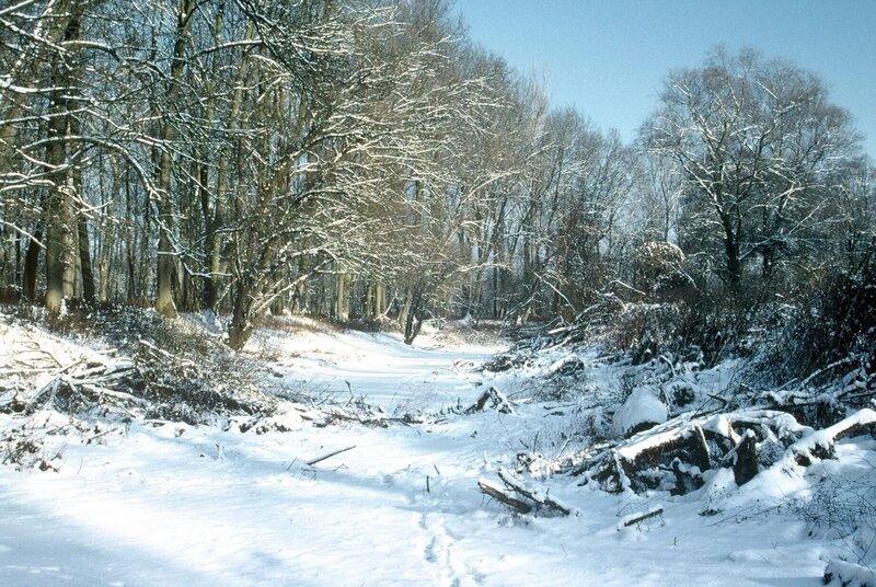 Winterlandschaft in Drösing. – Bild: ORF/​Ruth Trinkler