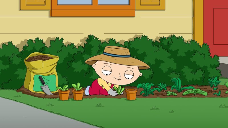 Stewie Griffin – Bild: 20th Television