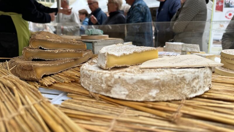 Vorne: |brie – Bild: Curiosity TV Vorne: |brie – Bild: Curiosity TV
