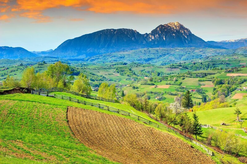 Alpine landscape and green fields, Holbav, Transylvania, Romania, Europe – Bild: despositphos