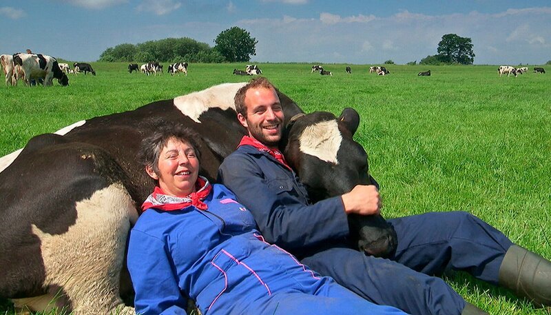Kuhkuscheln, der neue Trend in Friesland. – Bild: NDR/​Manfred Schulz TV & FilmProduktion