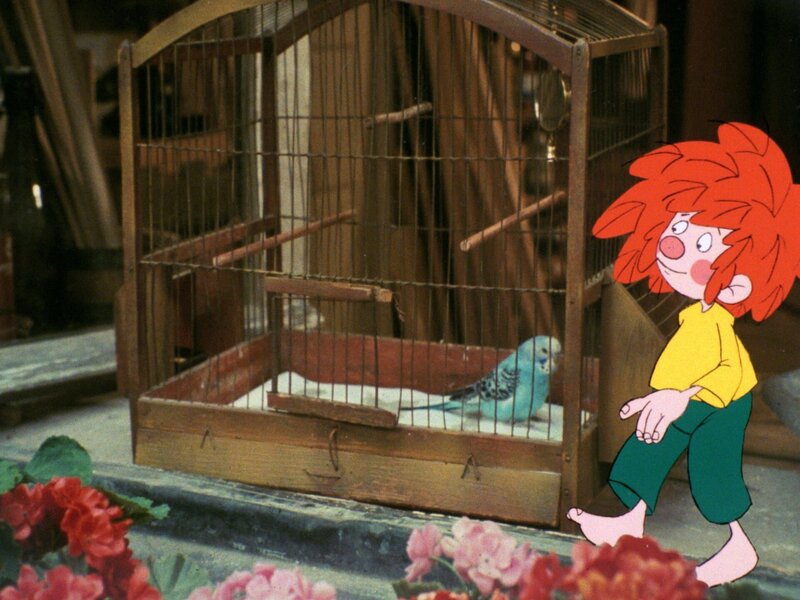 Zwei Nachbarinnen bringen Meister Eder einen Wellensittich. Dem Pumuckl gefällt der Vogel gar nicht, er öffnet die Käfigtür und lässt ihn zum Fenster hinausfliegen. – Bild: BR/​Infafilm GmbH/​Original-Entwurf „Pumuckl“-Figur: Barbara von Johnson