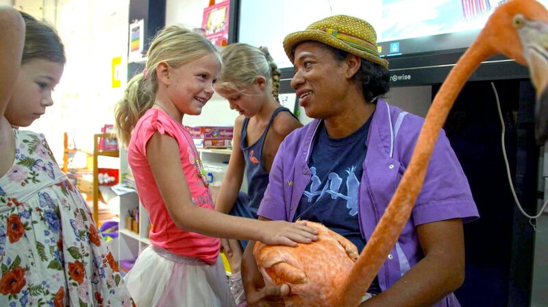 In Curacao ist der stolze Flamingo Bob, der Botschafter der Wildtiere, im Einsatz. Er erobert die Herzen von Kindern und hilft dabei sich für den Umweltschutz einzusetzen. – Bild: phoenix/​ARD Studio Mexiko