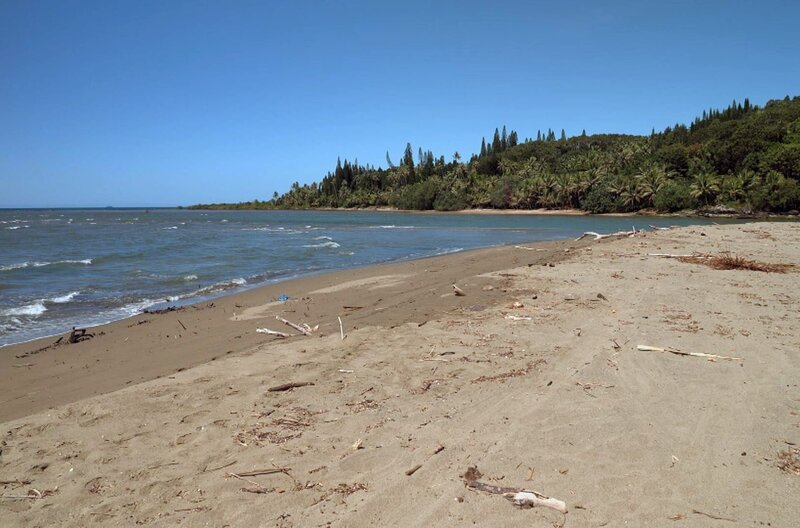 Déwé Gorodé, Sprachrohr der Forderungen des neukaledonischen Volkes: Die Autorin erhebt ihre mahnende Stimme ohne Unterlass. – Bild: Elephant Doc