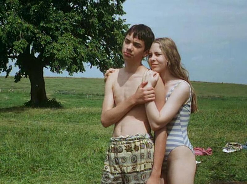 Das Geheimnis der Kormoraninsel – Bild: NDR/​NDR