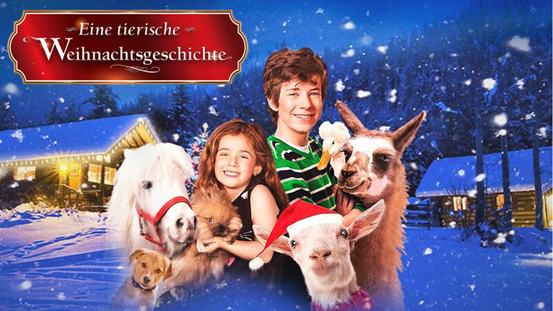 Eine tierische Weihnachtsgeschichte – Bild: Watch 4 Movies