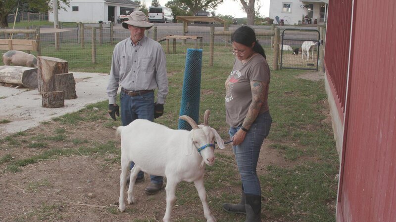 Tom McKernan and animal care director Christine escort Steve the goat to a time out in the goat barn. – Bild: Animal Planet /​ Discovery Communications, LLC