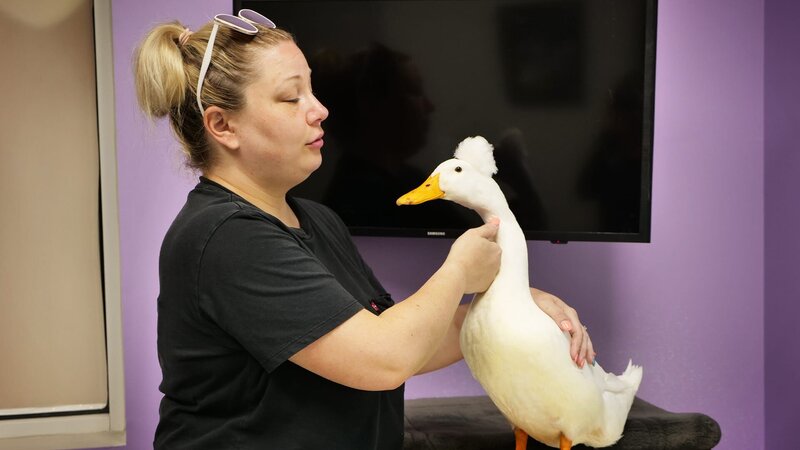 . – Bild: Warner Bros. Discovery