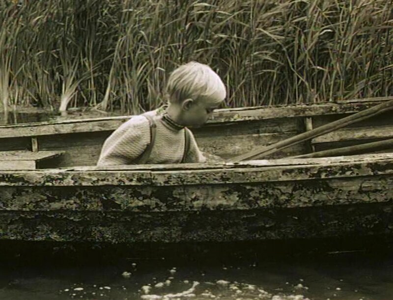 Das Geheimnis der Kormoraninsel – Bild: NDR/​NDR